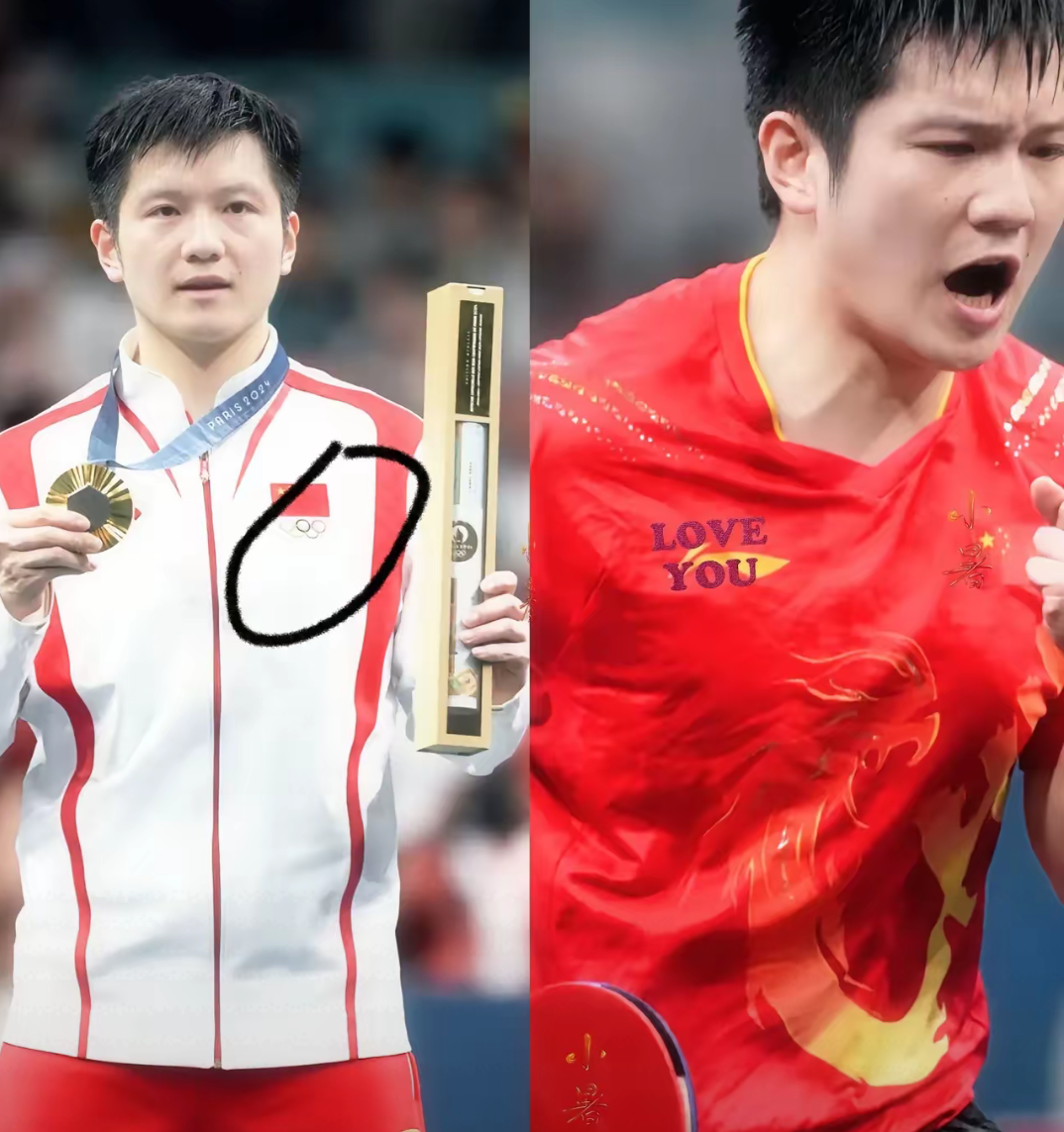 瑞典队险胜法国队,樊振东扛起全队的简单介绍 瑞典队险胜法国队,樊振东扛起全队的简单介绍