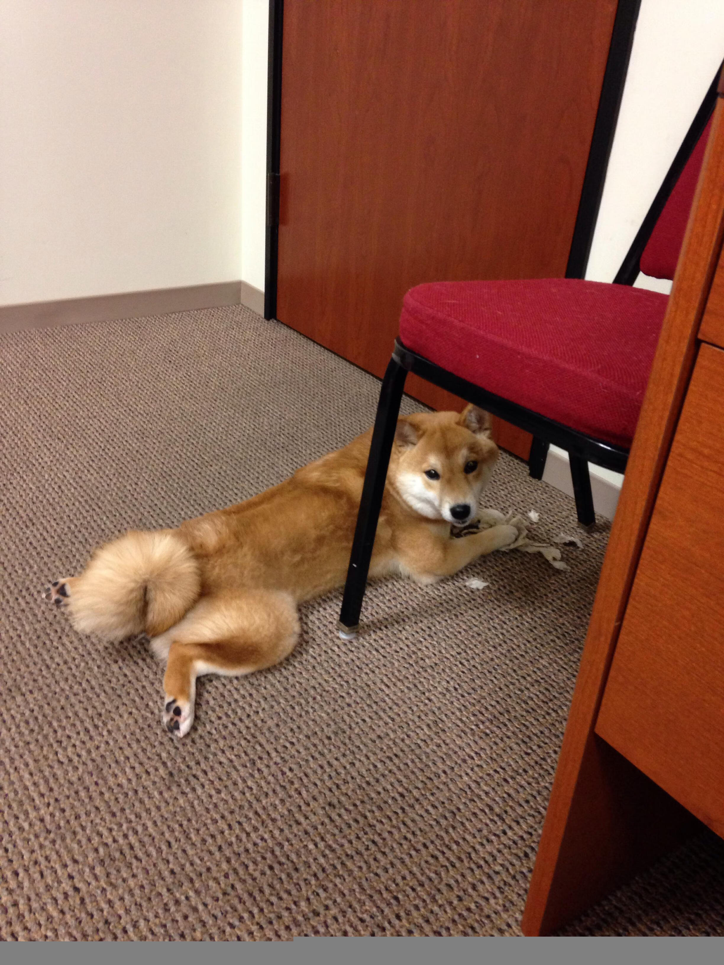 风暴眼与终结者，皮克数据全维度引爆，墨西哥尖刀提前终结贝蒂斯悬念