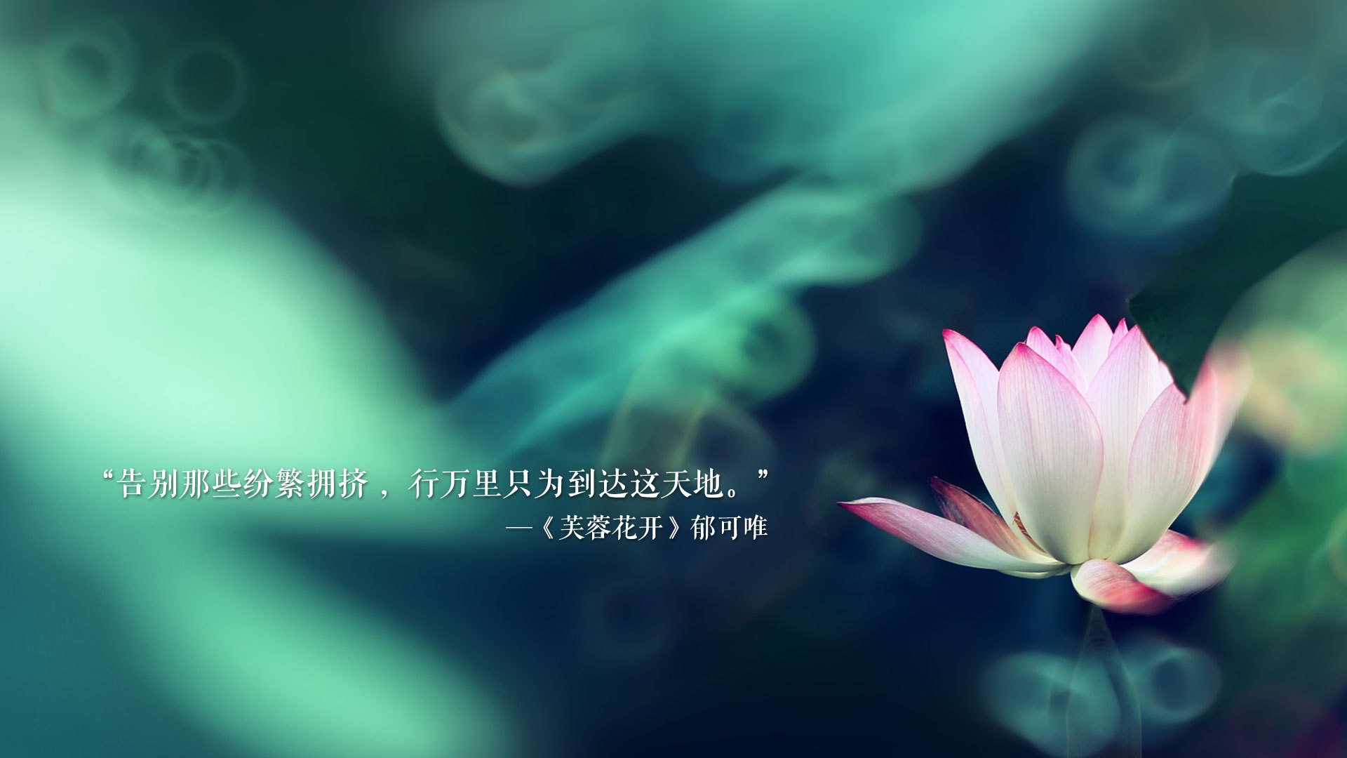 钢铁洪流与神之一手,当匈牙利用冷血屠戮定义生死战,阿诺德的光荣与孤独